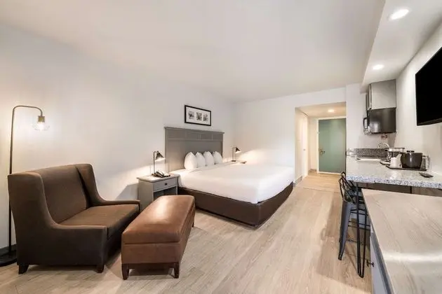 Oda, 1 En Büyük (King) Boy Yatak, Engellilere Uygun, Sigara İçilmez (Accessible Room)