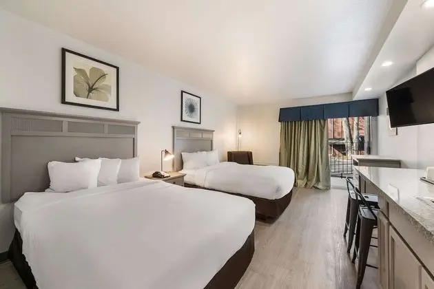 Oda, 2 Çift Kişilik Yatak, Engellilere Uygun, Sigara İçilmez (Accessible Room)