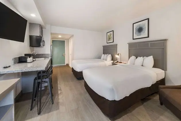 Oda, 2 Çift Kişilik Yatak, Engellilere Uygun, Sigara İçilmez (Accessible Room)