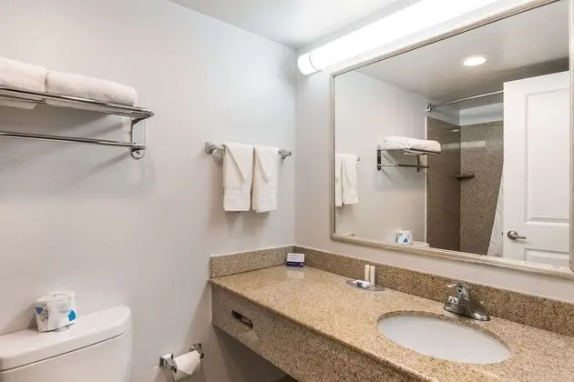 Oda, 2 Çift Kişilik Yatak, Engellilere Uygun, Sigara İçilmez (Accessible Room)