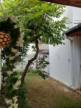 Luxury Tek Büyük Yataklı Oda, Avlu Manzaralı