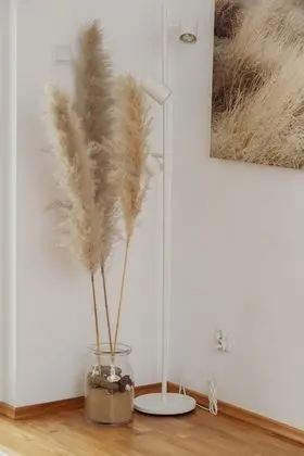 Apart Daire, 1 Yatak Odası, Balkon