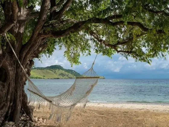 Family Bungalov, Denize Sıfır