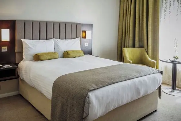 Tek Büyük Yataklı Oda, 1 Çift Kişilik Yatak, Bahçe Manzaralı