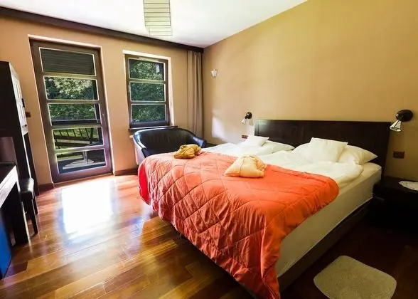 Standard Tek Büyük Yataklı Oda, Dağ Manzaralı