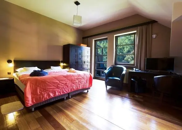 Standard Tek Büyük Yataklı Oda, Dağ Manzaralı