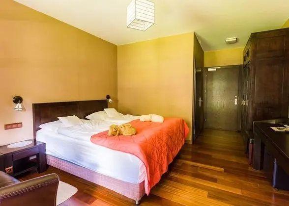 Standard Tek Büyük Yataklı Oda, Dağ Manzaralı