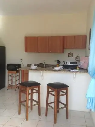 Standard Daire, 2 Yatak Odası, Okyanus Manzaralı