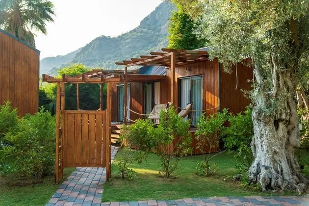 Jakuzili Tiny House Standard Oda