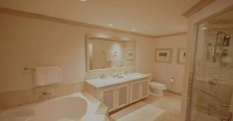 Çatı Katı Süiti (Penthouse)