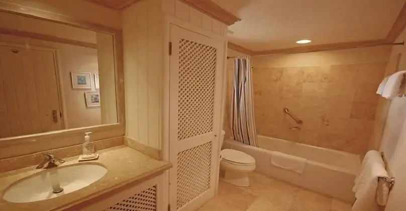 Çatı Katı Süiti (Penthouse)