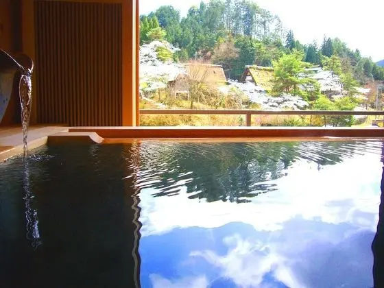 Traditional İki Ayrı Yataklı Oda (Japanese Western Twin, Open Air Bath)