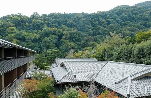 Oda, 2 Tek Kişilik Yatak, Balkon, Manzaralı (Tsukinone, Arashiyama View)