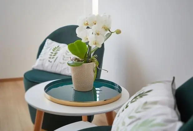 Stüdyo