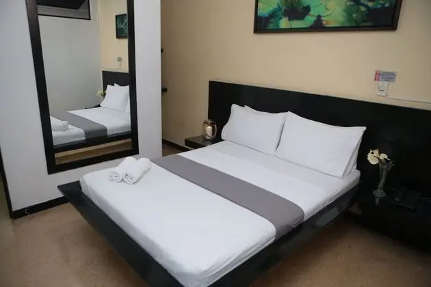 Standard Tek Büyük Yataklı Oda, Sigara İçilmez