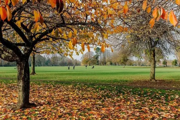 Apart Daire