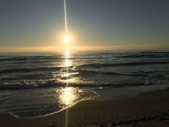 Apart Daire, Birden Çok Yatak