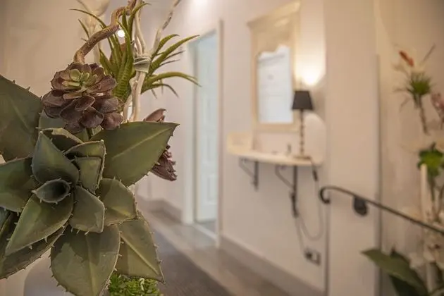 Standard Büyük Yataklı Tek Kişilik Oda