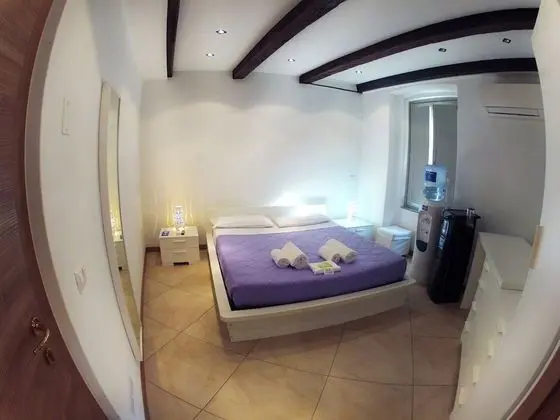 Tek Büyük Yataklı Oda, 1 Çift Kişilik Yatak, Banyolu/Duşlu