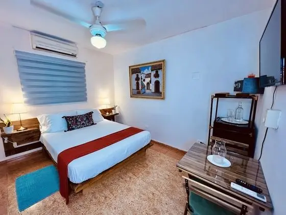 Comfort Tek Büyük Yataklı Oda, 1 Büyük (Queen) Boy Yatak, Bahçe Manzaralı