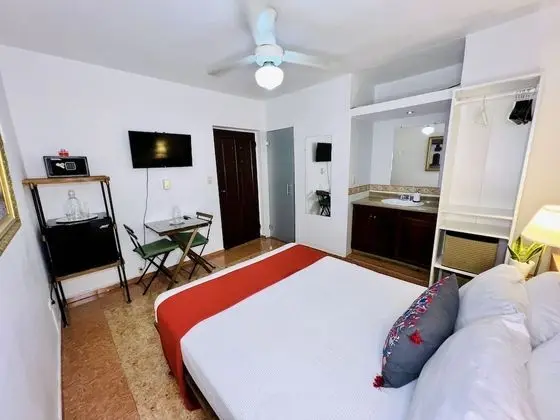 Comfort Tek Büyük Yataklı Oda, 1 Büyük (Queen) Boy Yatak, Bahçe Manzaralı