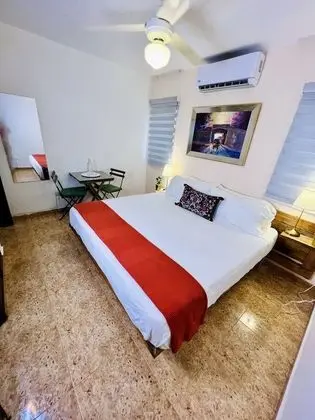 Junior Tek Büyük Yataklı Oda, 1 En Büyük (King) Boy Yatak, Bahçe Manzaralı