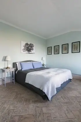 Panoramic Oda, 1 Büyük (Queen) Boy Yatak, Sigara İçilmez, Üzüm Asması Manzaralı