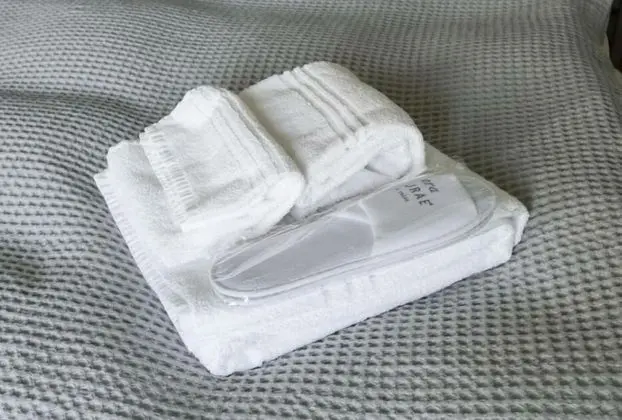 Panoramic Oda, 1 Büyük (Queen) Boy Yatak, Sigara İçilmez, Üzüm Asması Manzaralı