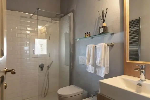 Panoramic Oda, 1 Büyük (Queen) Boy Yatak, Sigara İçilmez, Üzüm Asması Manzaralı