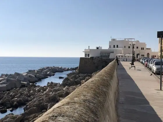 Apart Daire, 1 Yatak Odası, Zemin Kat