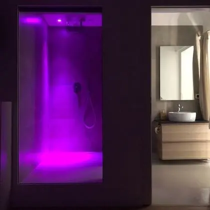 Deluxe Tek Büyük Yataklı Oda (Elephant)