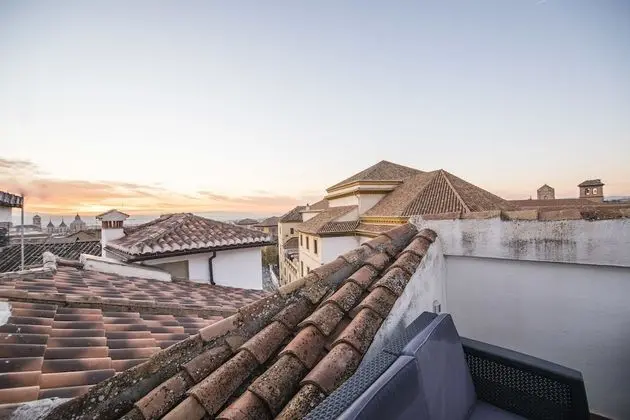 Çatı Katı Süiti (Penthouse)
