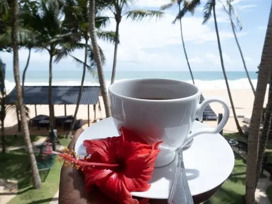 Deluxe Tek Büyük Yataklı Oda, 1 En Büyük (King) Boy Yatak, Sigara İçilmez