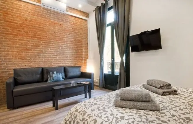 Apart Daire, 1 Yatak Odası (24)