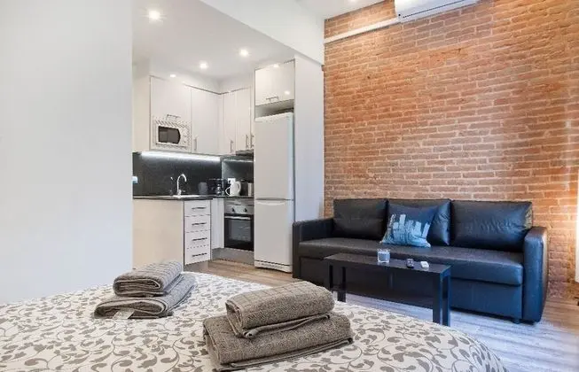 Apart Daire, 1 Yatak Odası (24)