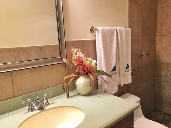 Deluxe Tek Kişilik Oda, 1 Çift Kişilik Yatak ve Çekyat, Sigara İçilmez, Okyanus Manzaralı