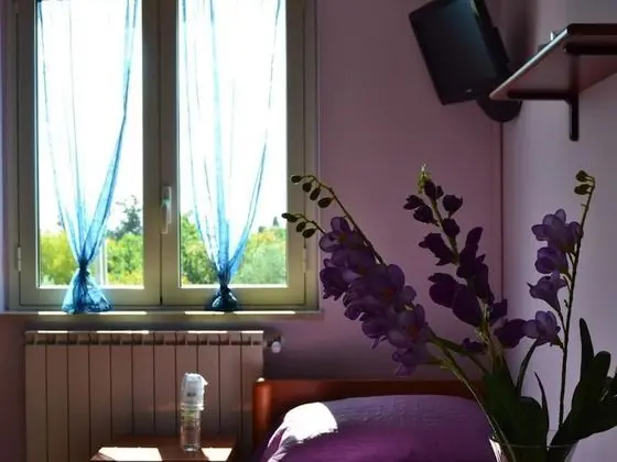 Oda, 1 Yatak Odası, Balkon