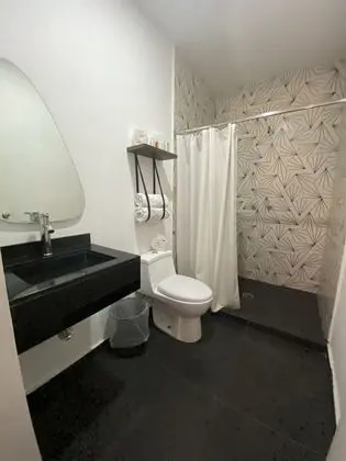 Standard Suite