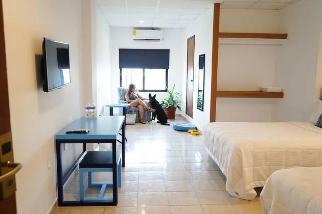 Standard Room, 2 Queen Beds