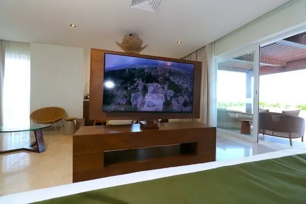 Televizyon