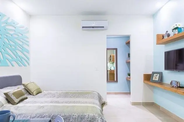 Standard Stüdyo Süit, 1 Çift Kişilik Yatak, Sigara İçilmez