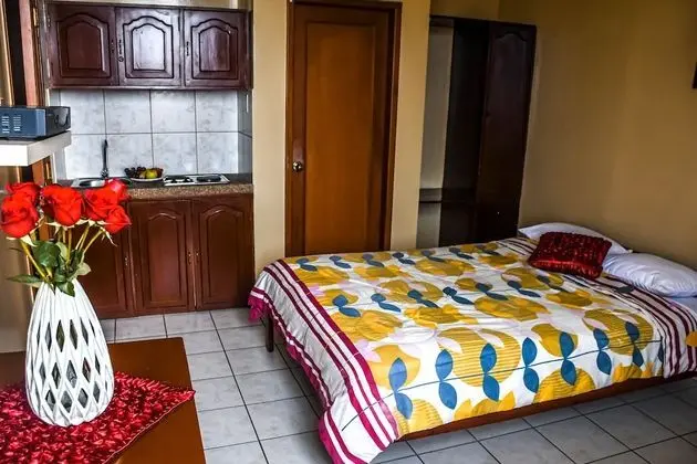 Standard Tek Büyük Yataklı Oda, 1 Yatak Odası