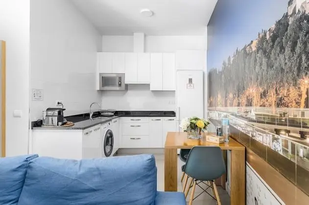 Apart Daire, 1 Yatak Odası