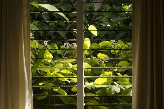 Executive Süit, 2 Çift Kişilik Yatak, Buzdolabı ve Mikrodalga, Bahçe Manzaralı