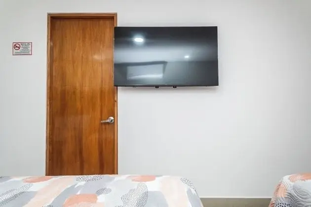 Televizyon