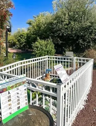 Design Süit, 1 Yatak Odası, Küvet, Bahçe Manzaralı