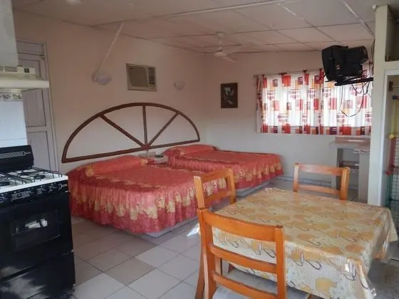 Basic Stüdyo, 2 Büyük (Queen) Boy Yatak, Sigara İçilebilir, Kısmi Deniz Manzarası