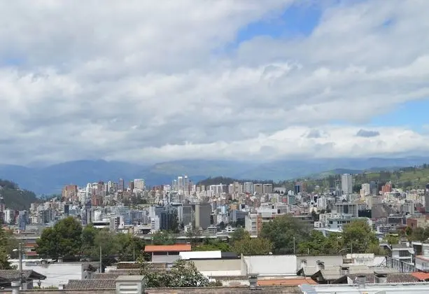 Comfort Stüdyo Süit, Şehir Manzaralı