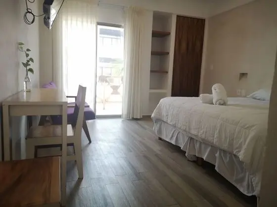 Deluxe Oda, 1 En Büyük (King) Boy Yatak, Sigara İçilmez