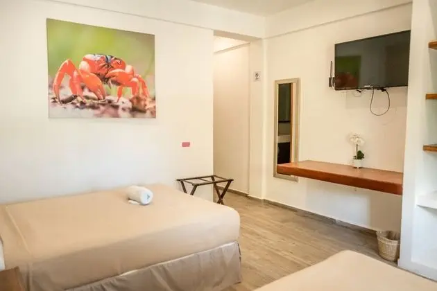 Deluxe Tek Büyük Yataklı Oda, 1 Yatak Odası